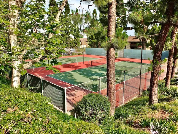 a small garden covered with tall trees