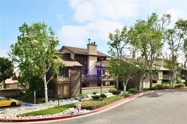 a front view of a house with a yard and large trees
