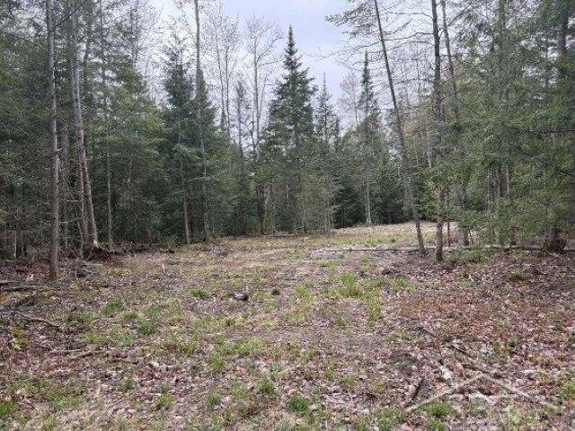 N948 Old Plank Road Wetmore, MI 49895 - Photo 21 of 26