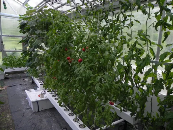 $525,000 | 57 Oak Lane, Jamaica, VT 05343