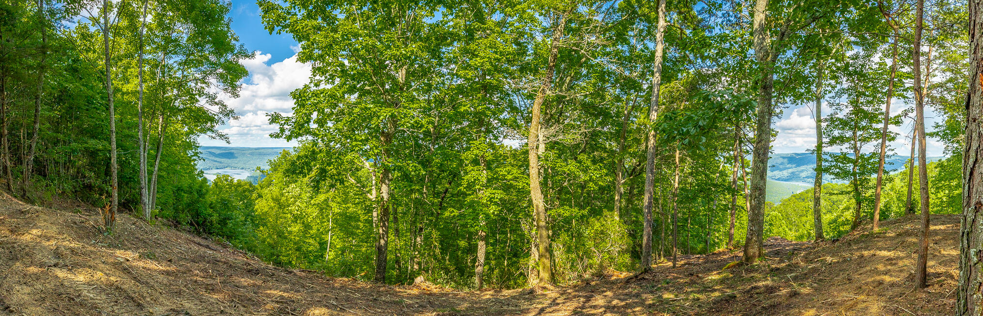 0 Back Basin Trail, Unit LOT 1244 Chattanooga, TN 37419 - Photo 32 of 119 MCW Correction HD-32