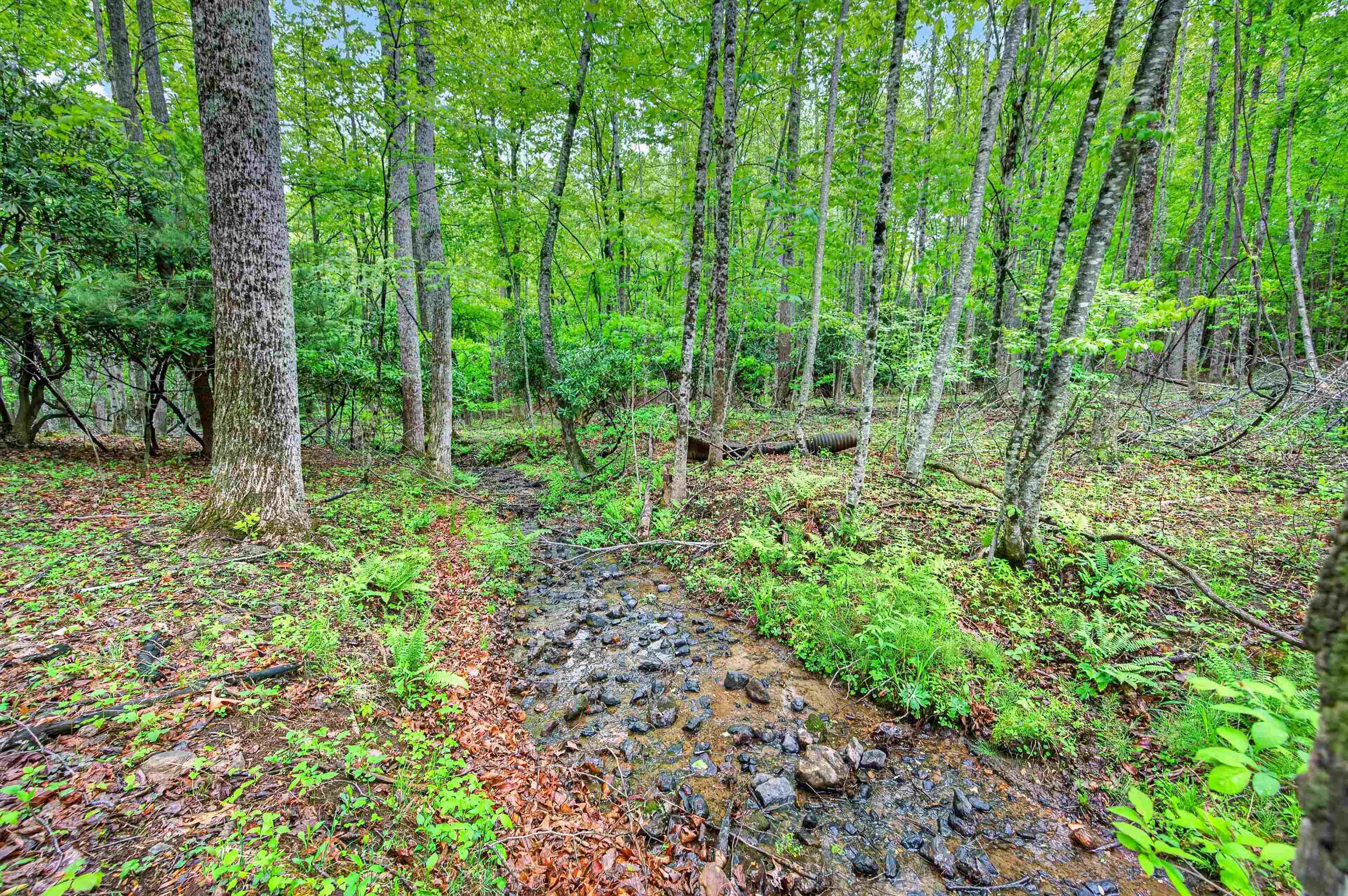 899 Fairview Church Road Southwest Floyd, VA 24091 - Photo 67 of 69 Gallery Image 67