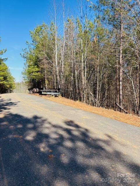 0 Creekside Circle, Unit 110 Rutherfordton, NC 28139 - Photo 13 of 28