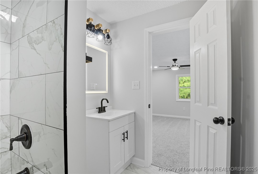 8306 Godwin-Falcon Road Godwin, NC 28344 - Photo 46 of 50 a bathroom with a sink and a mirror
