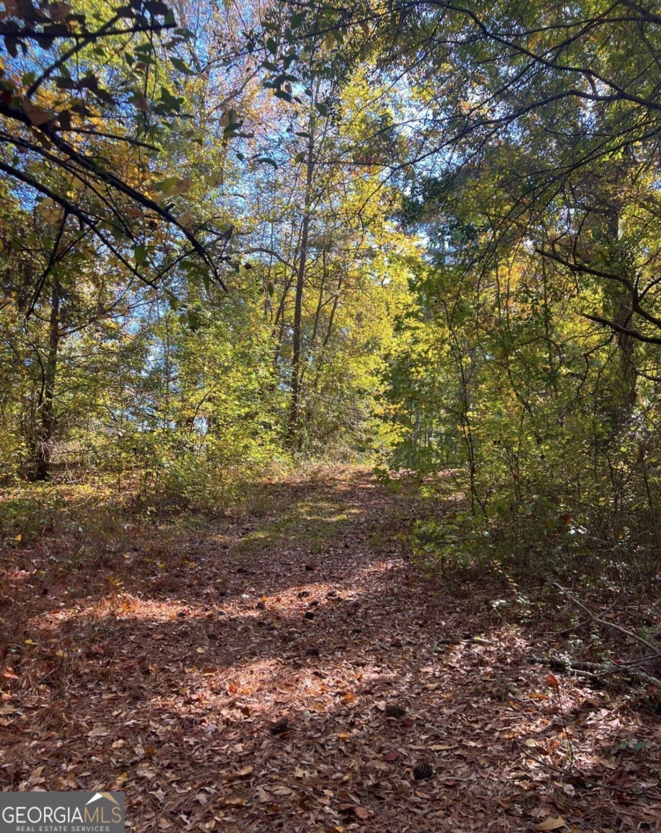 222 Jett Roberts Road Jefferson, GA 30549 - Photo 3 of 4