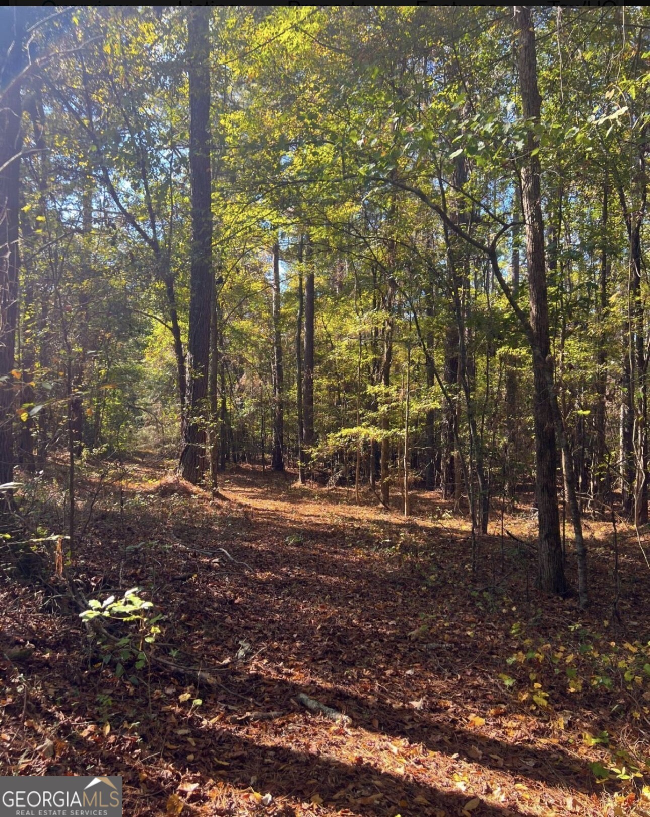 222 Jett Roberts Road Jefferson, GA 30549 - Photo 4 of 4