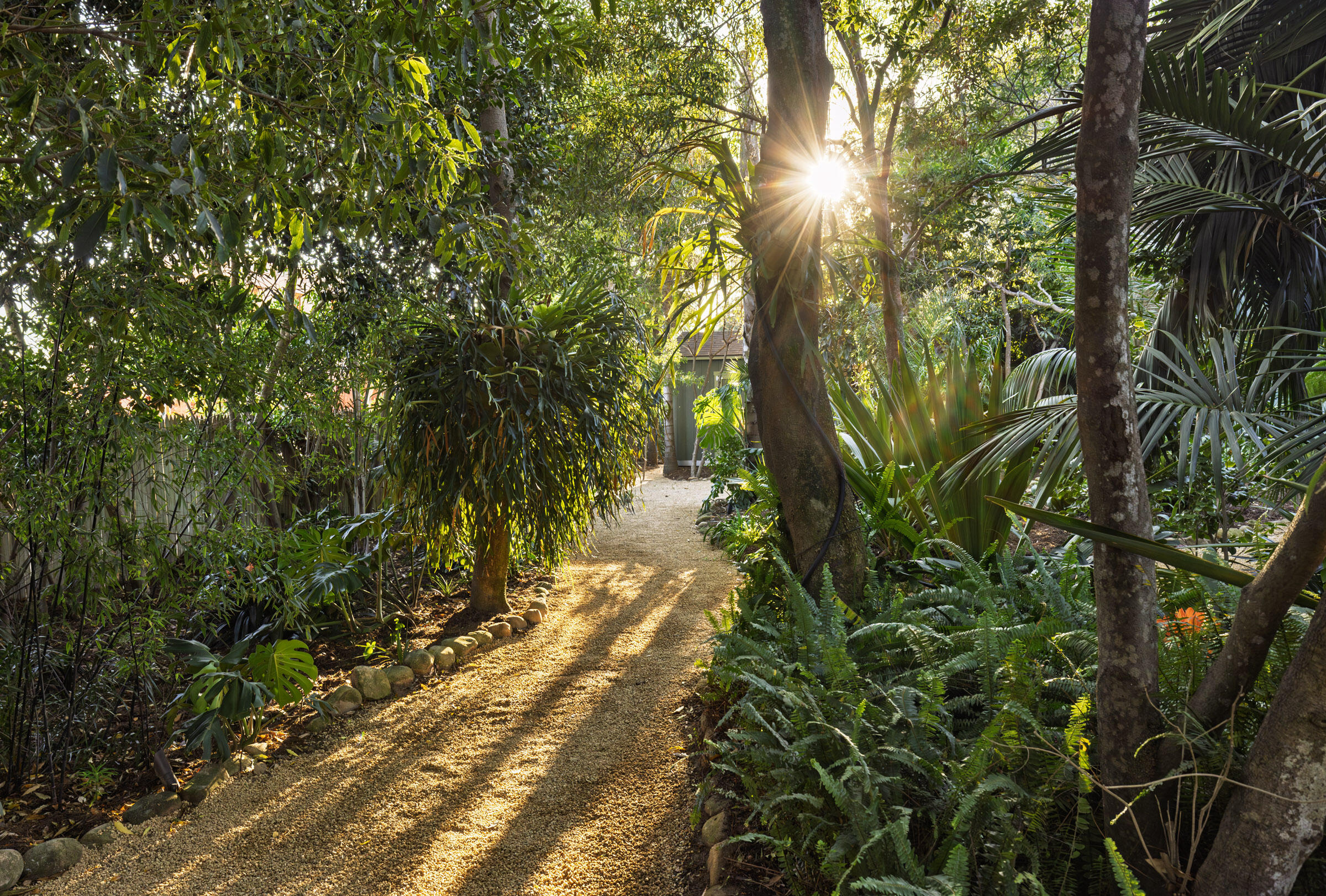 549 Hot Springs Road Montecito, CA 93108 - Photo 24 of 28 Lush Gardens