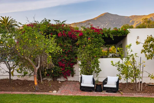 a view of a chairs and table in backyard