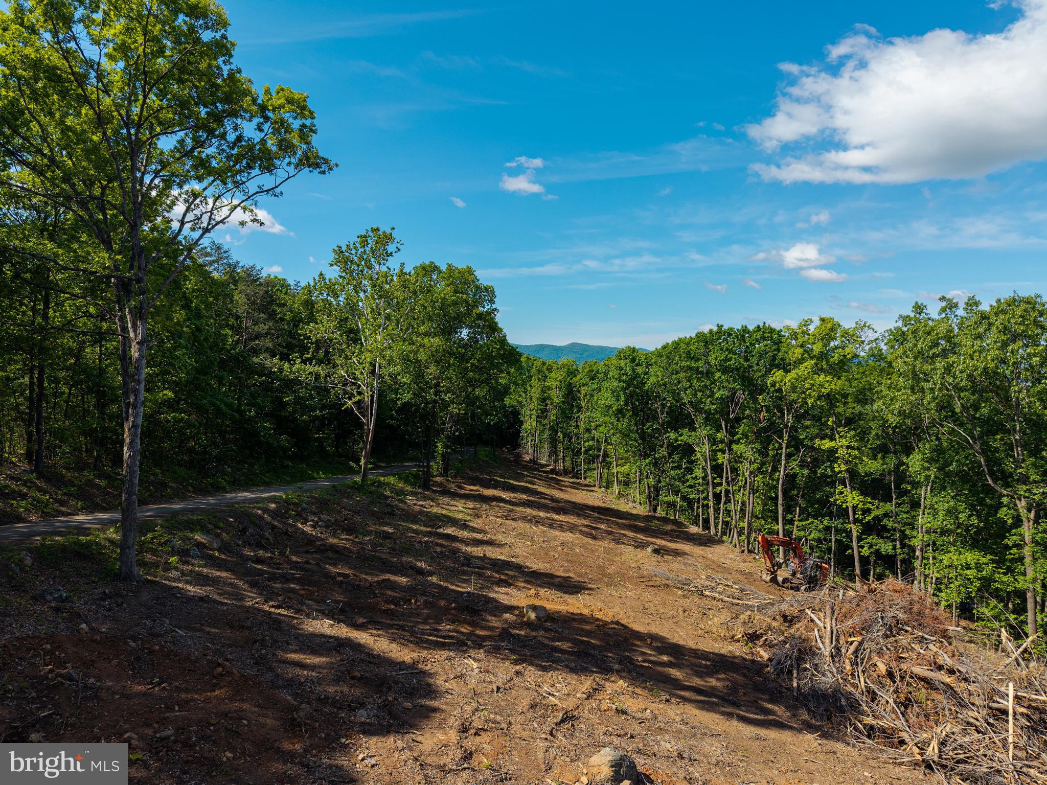 0 Cross Mountain Road Luray, VA 22835 - Photo 26 of 51