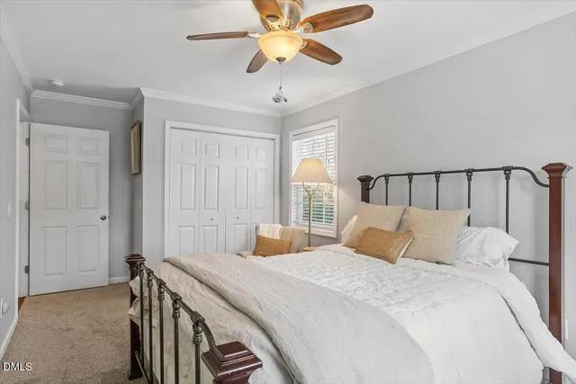 a view of road with large trees