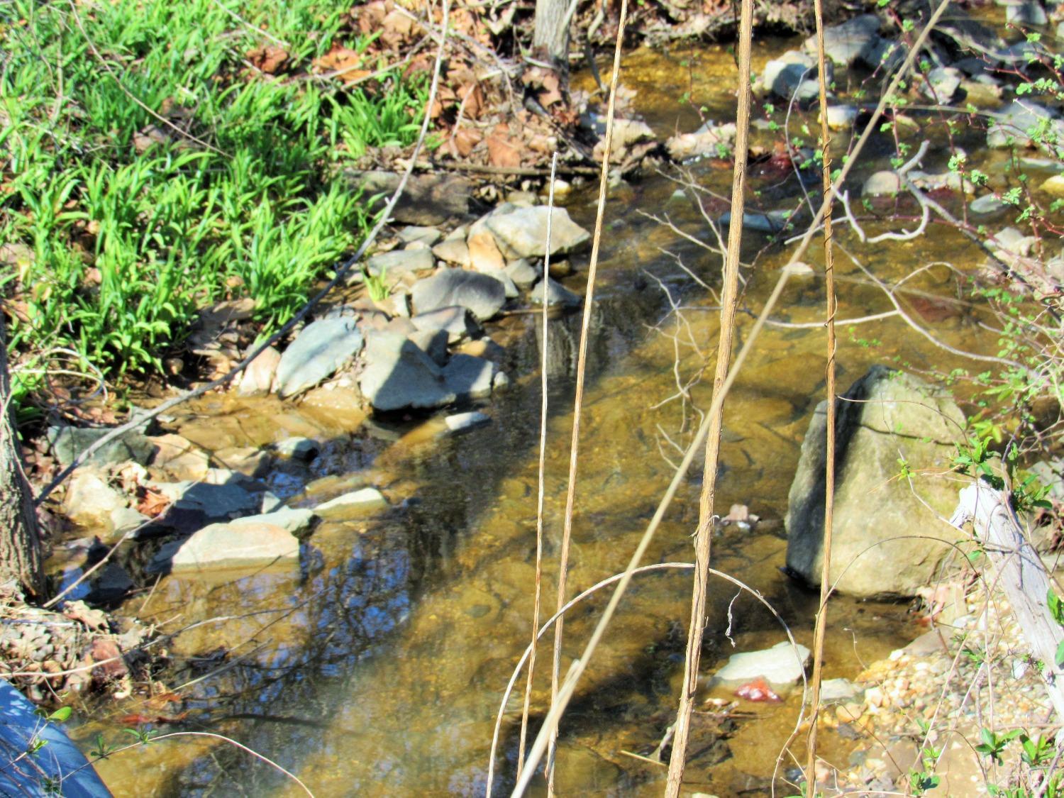 1697 South Amherst Highway Amherst, VA 24521 - Photo 40 of 45 a bathroom with a shower