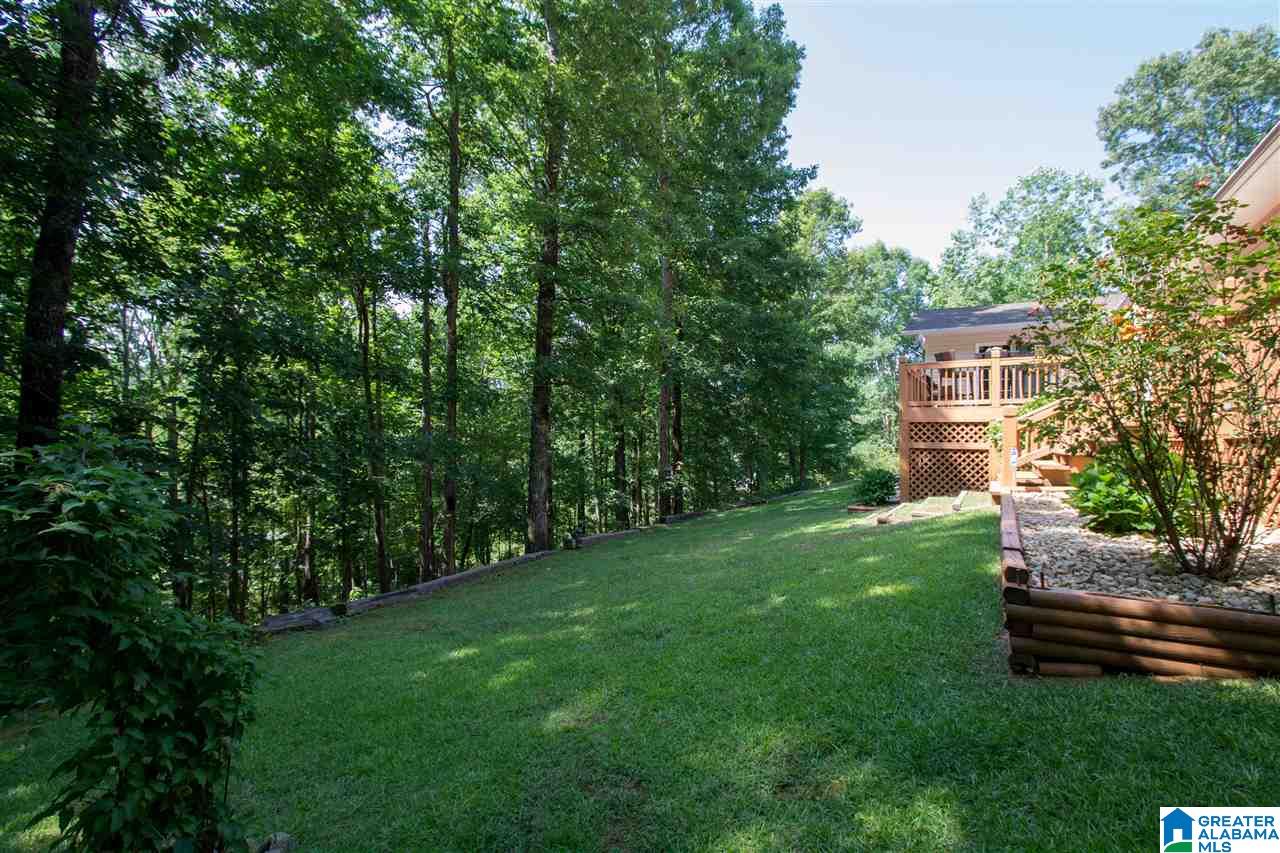 25 Cook Springs Road Pell City, AL 35128 - Photo 36 of 50