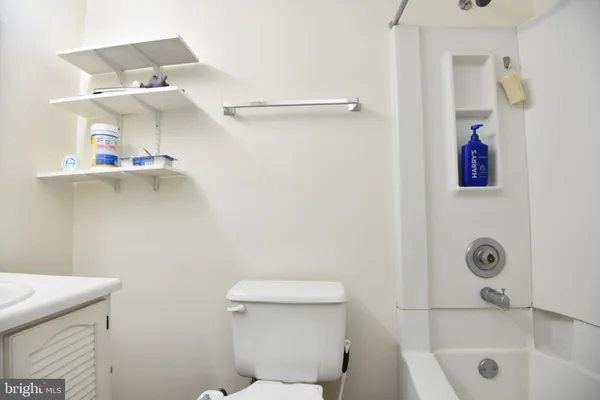 a bathroom with a shower and a toilet