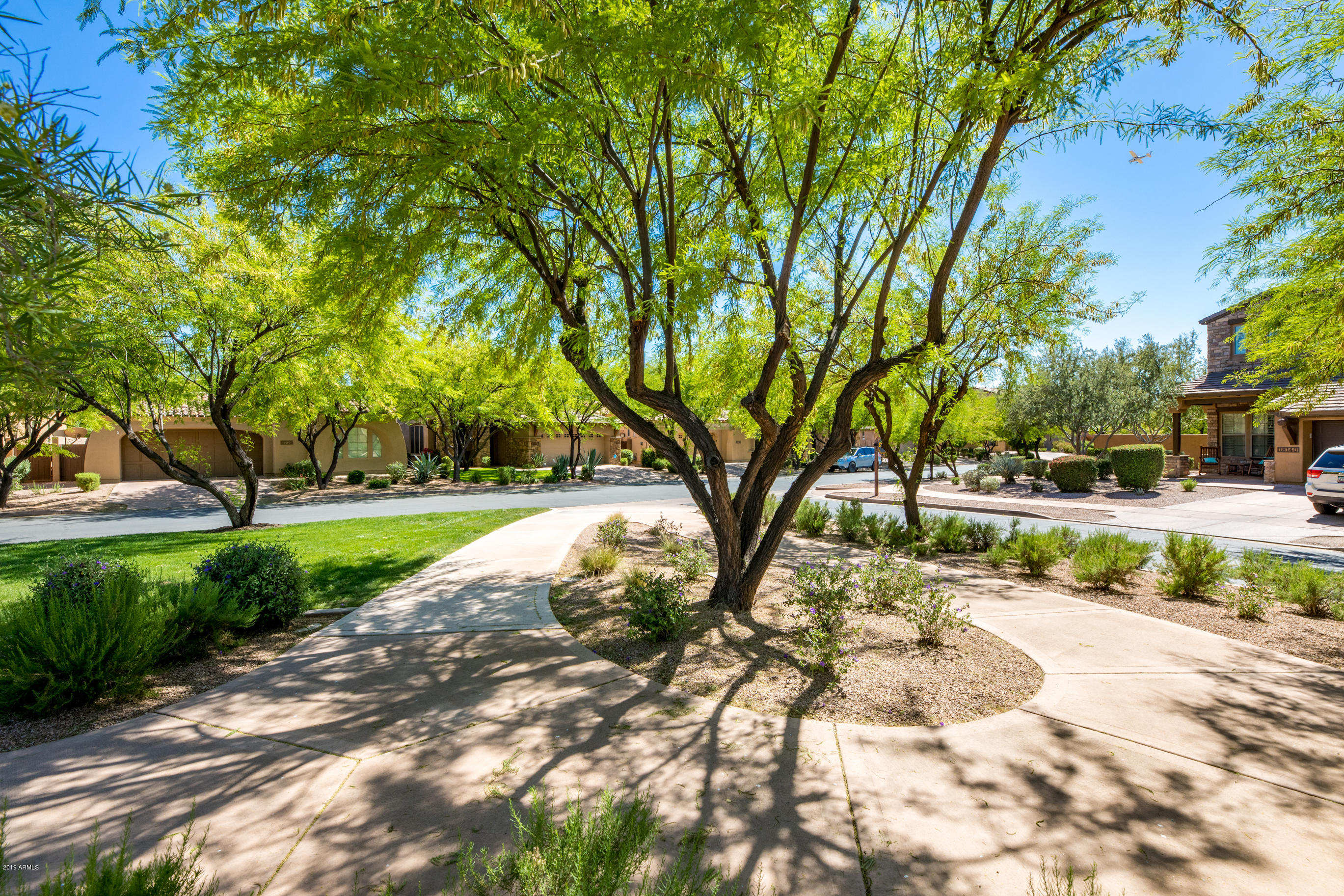9185 East Canyon View Road Scottsdale, AZ 85255 - Photo 44 of 47 a view of a yard with plants and trees