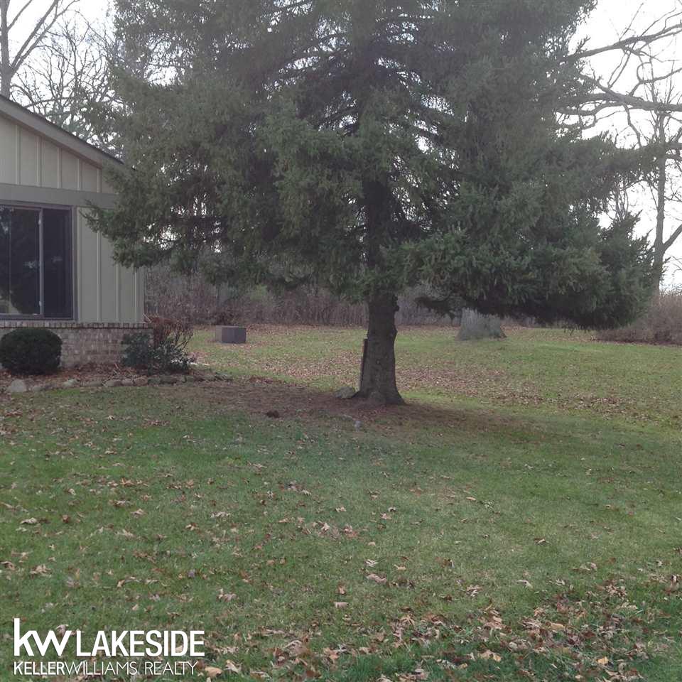903 Lafayette Court Rochester, MI 48307 - Photo 3 of 12 31273014-2.JPG