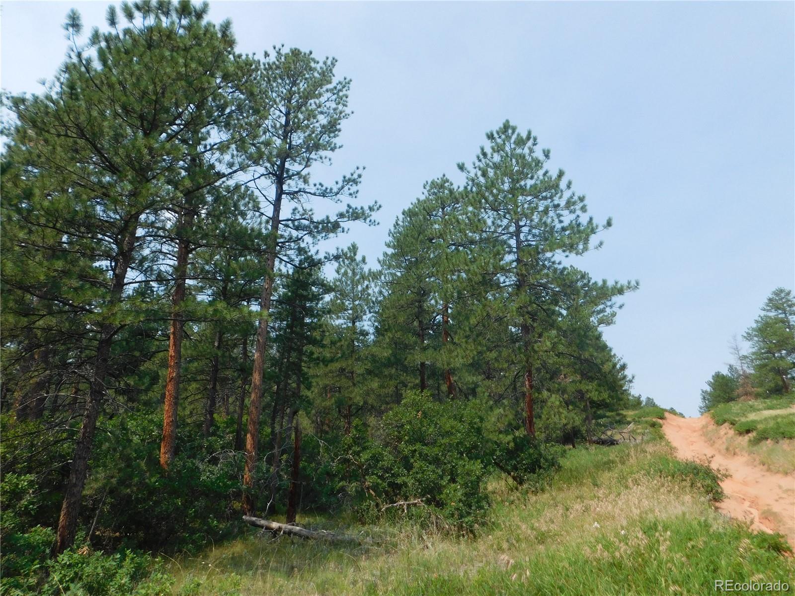 4356 Elati Road Larkspur, CO 80118 - Photo 1 of 40