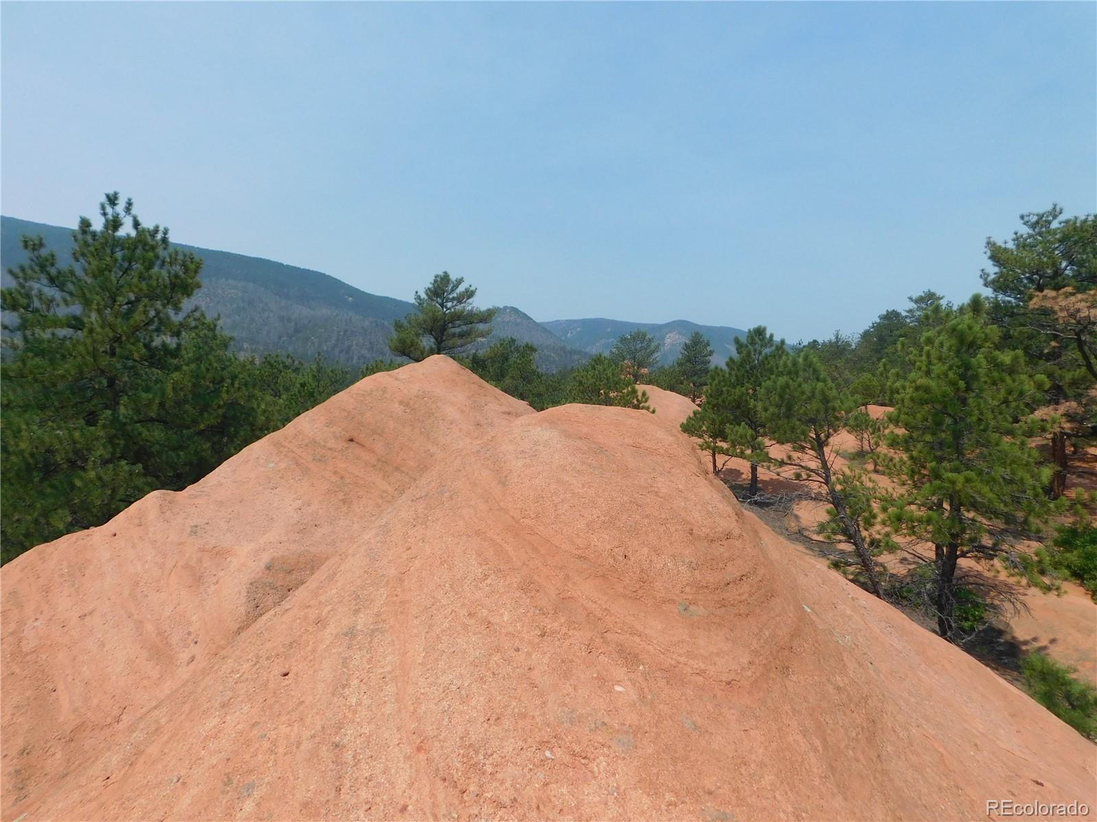 4356 Elati Road Larkspur, CO 80118 - Photo 12 of 40