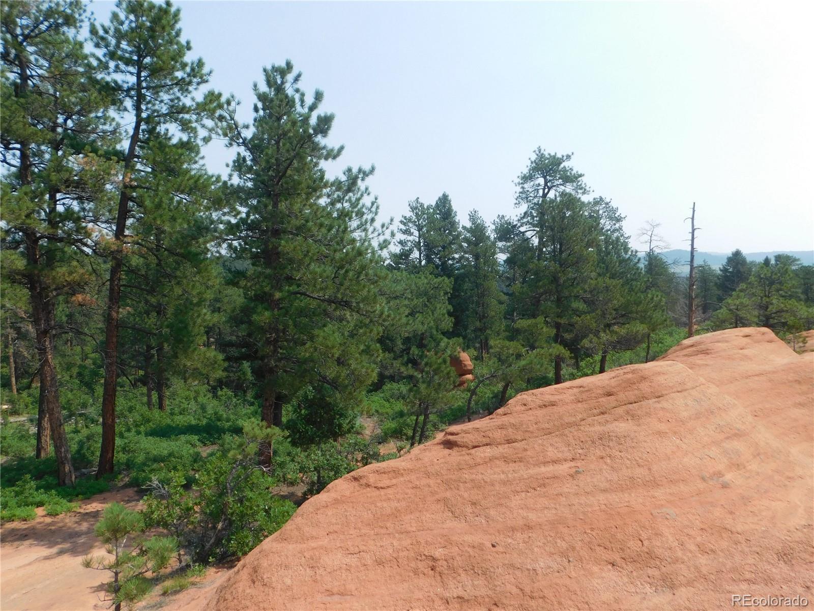4356 Elati Road Larkspur, CO 80118 - Photo 13 of 40