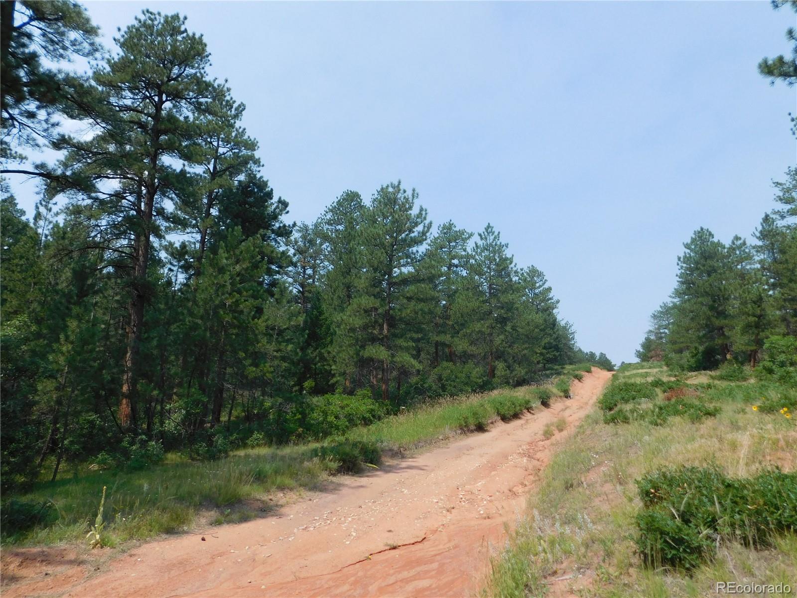 4356 Elati Road Larkspur, CO 80118 - Photo 2 of 40
