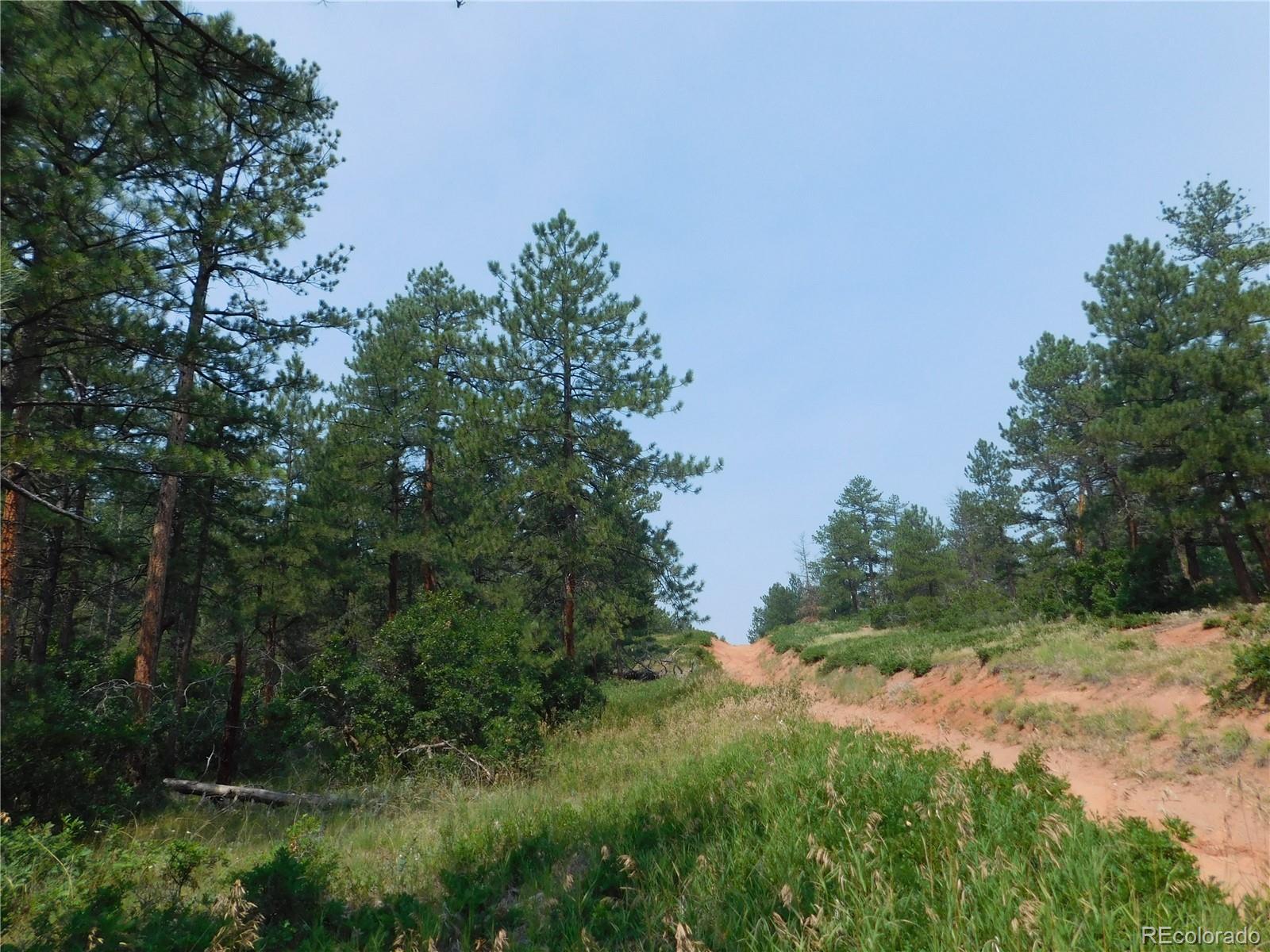 4356 Elati Road Larkspur, CO 80118 - Photo 26 of 40