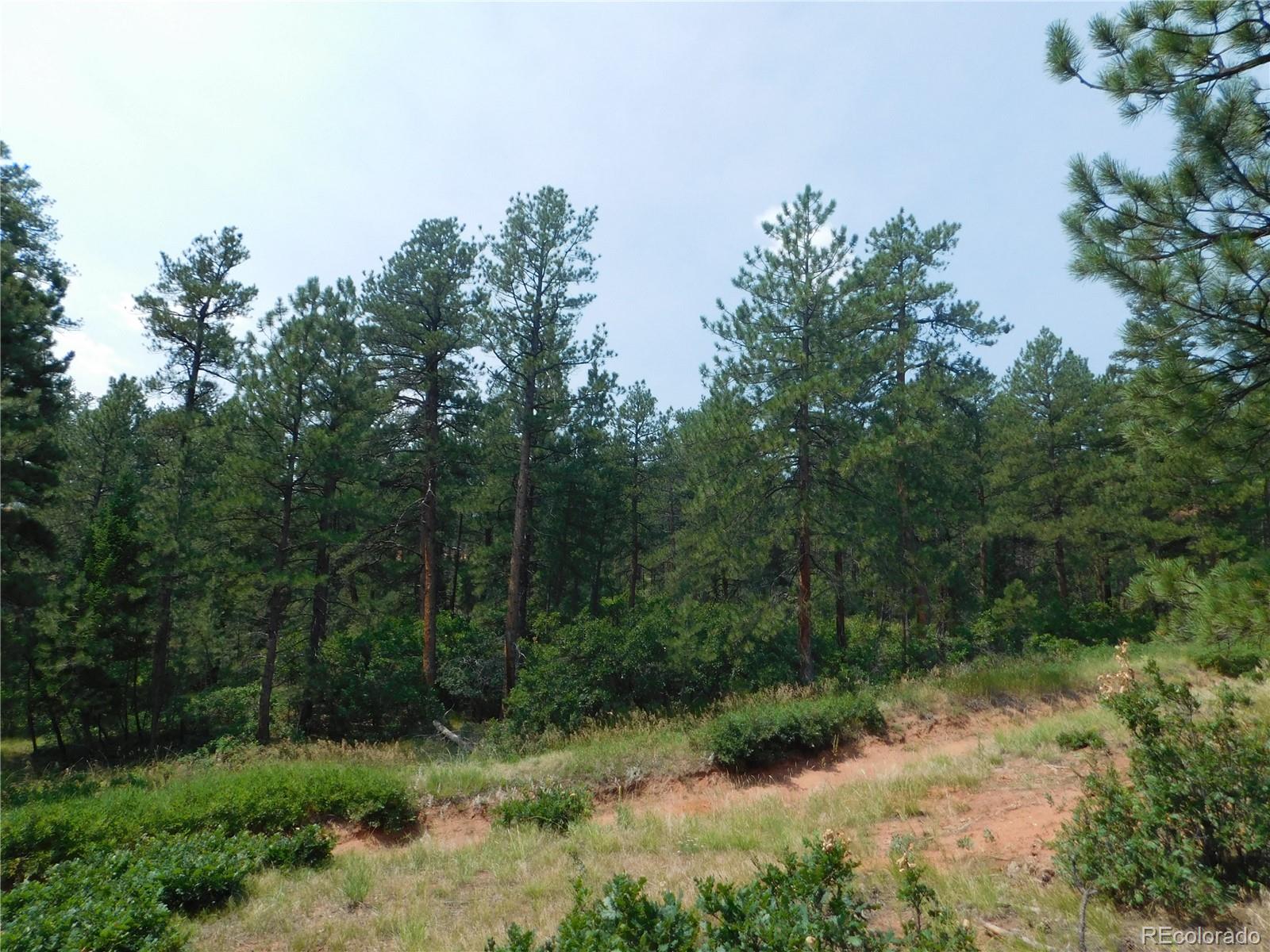 4356 Elati Road Larkspur, CO 80118 - Photo 27 of 40
