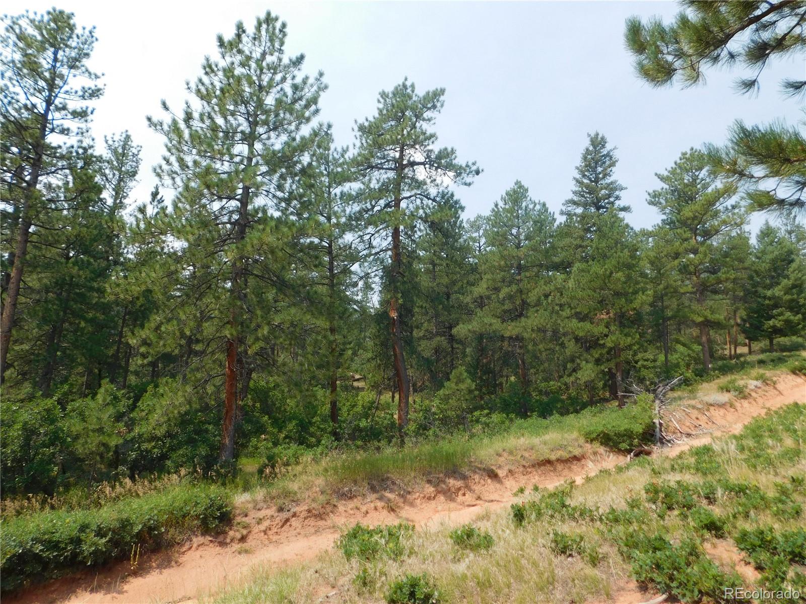 4356 Elati Road Larkspur, CO 80118 - Photo 29 of 40