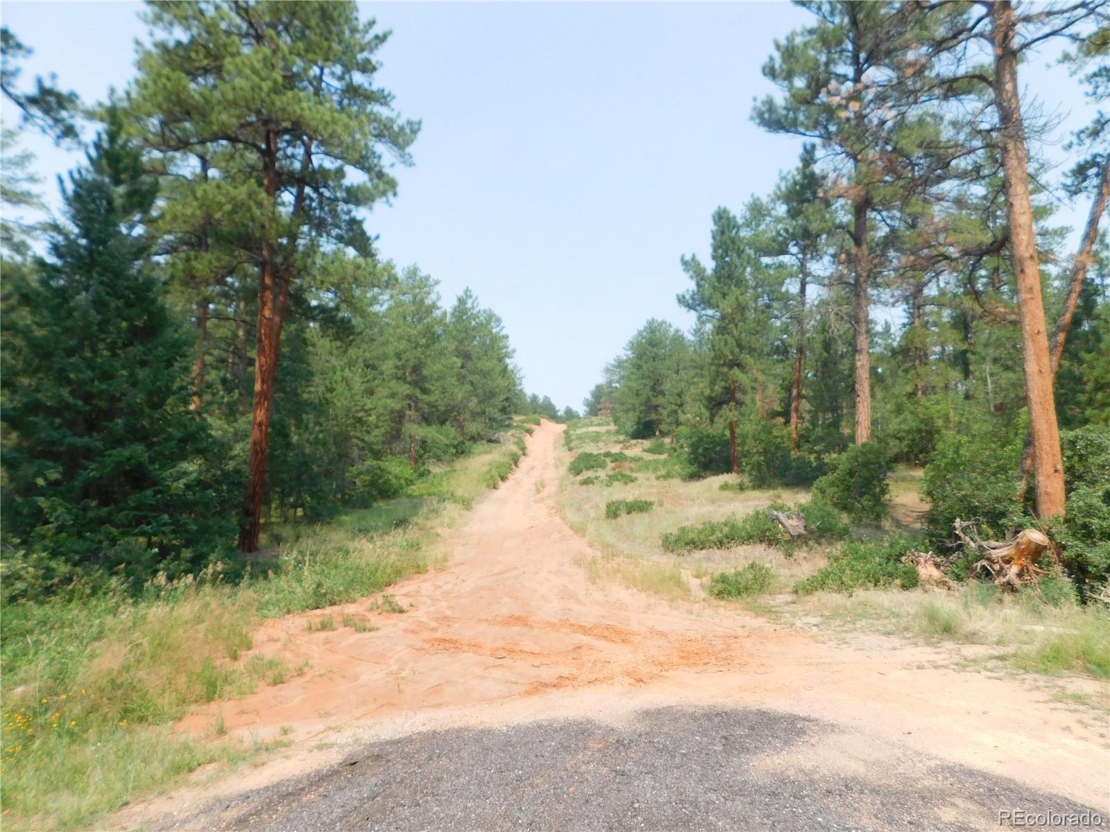 4356 Elati Road Larkspur, CO 80118 - Photo 30 of 40