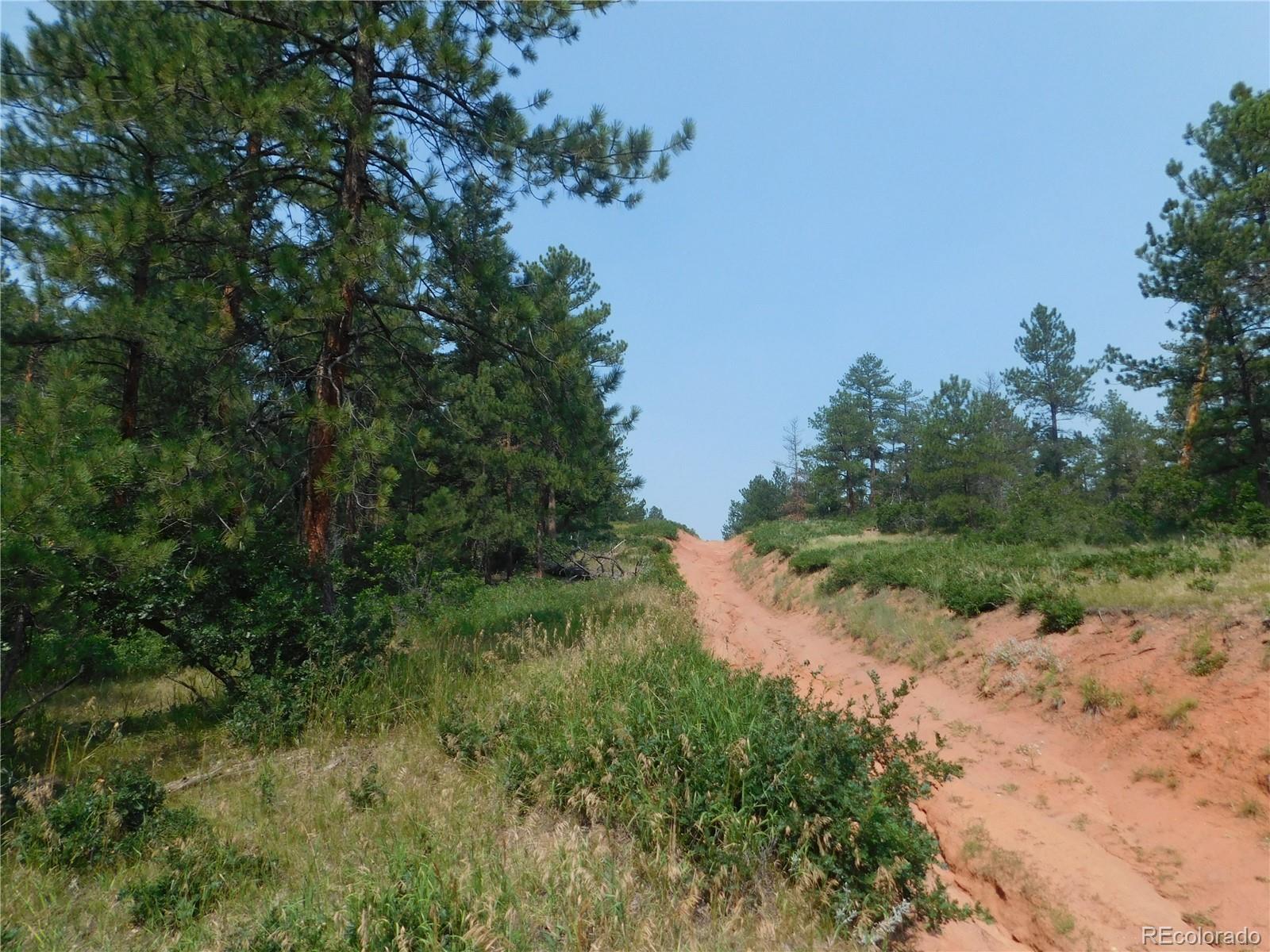 4356 Elati Road Larkspur, CO 80118 - Photo 31 of 40