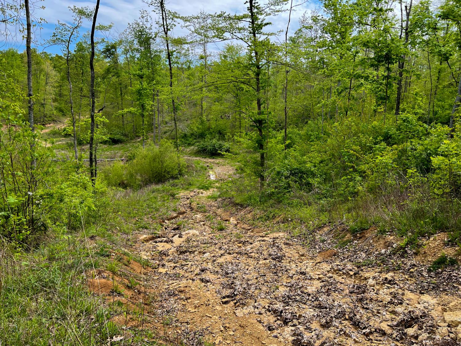 1 Highway 52 Gilbert, WV 25621 - Photo 12 of 25