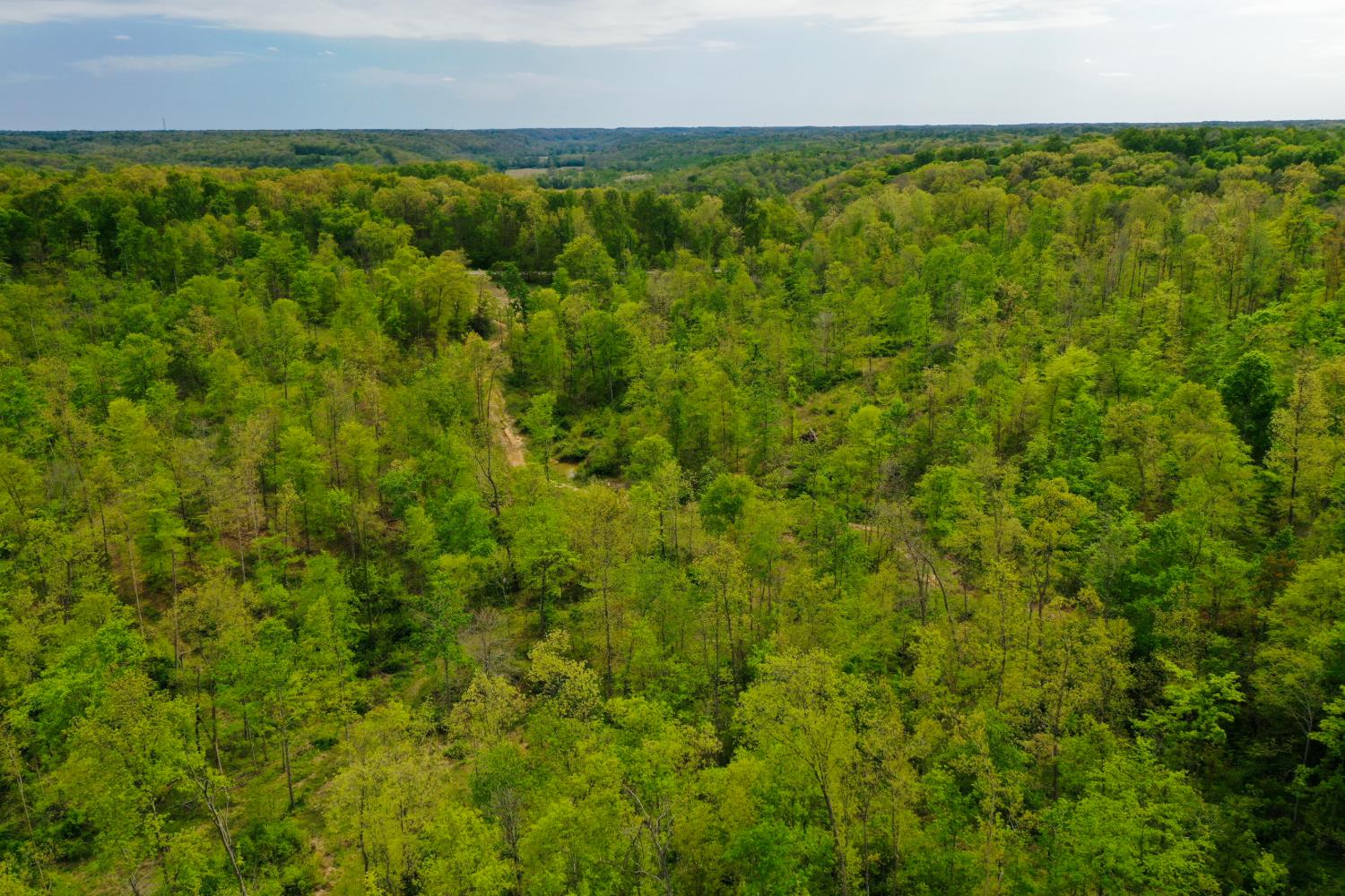 1 Highway 52 Gilbert, WV 25621 - Photo 13 of 25