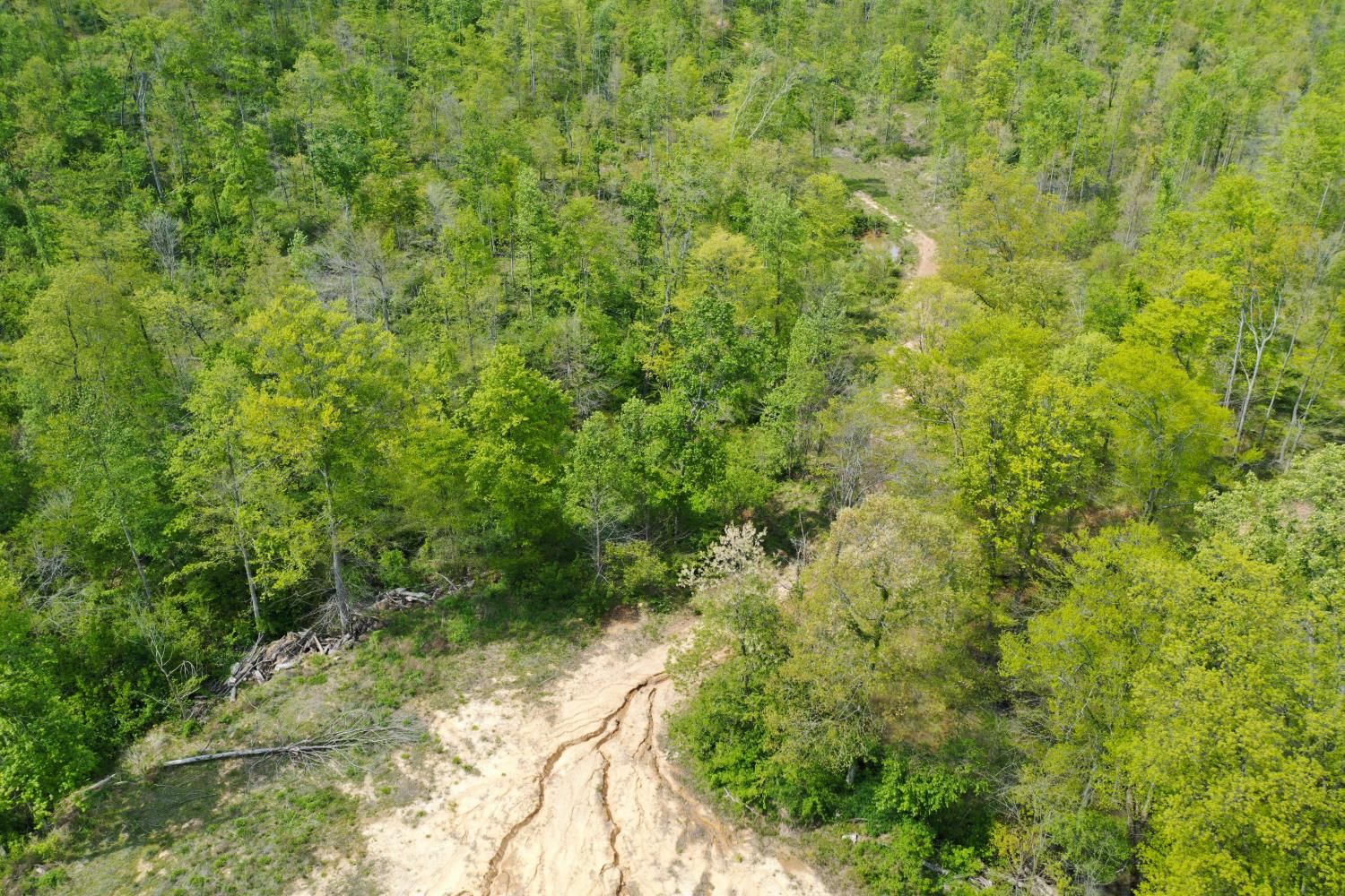 1 Highway 52 Gilbert, WV 25621 - Photo 19 of 25