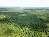 1 Highway 52 Gilbert, WV 25621 - Photo 21 of 25