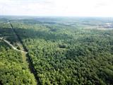1 Highway 52 Gilbert, WV 25621 - Photo 22 of 25