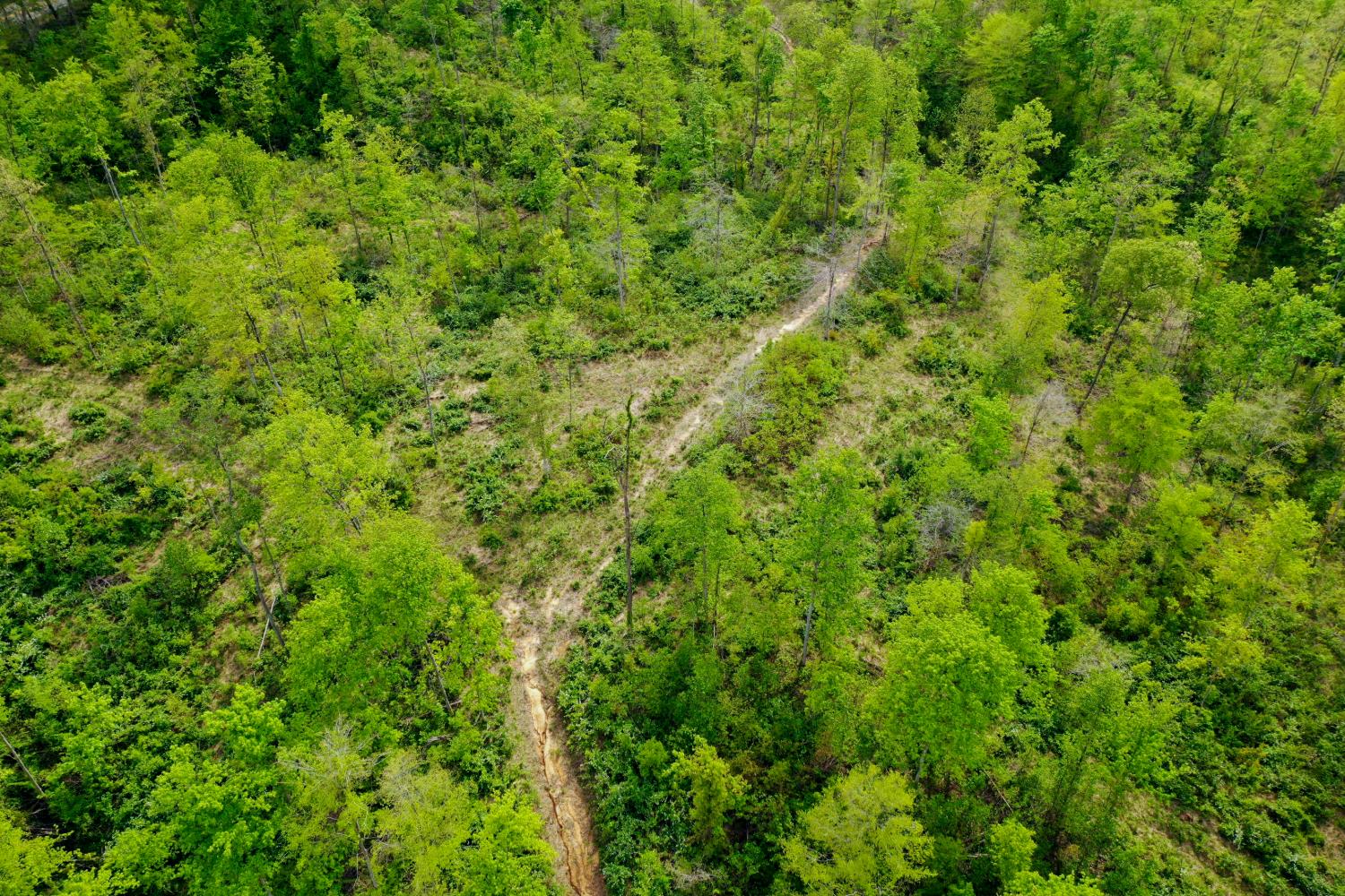 1 Highway 52 Gilbert, WV 25621 - Photo 5 of 25