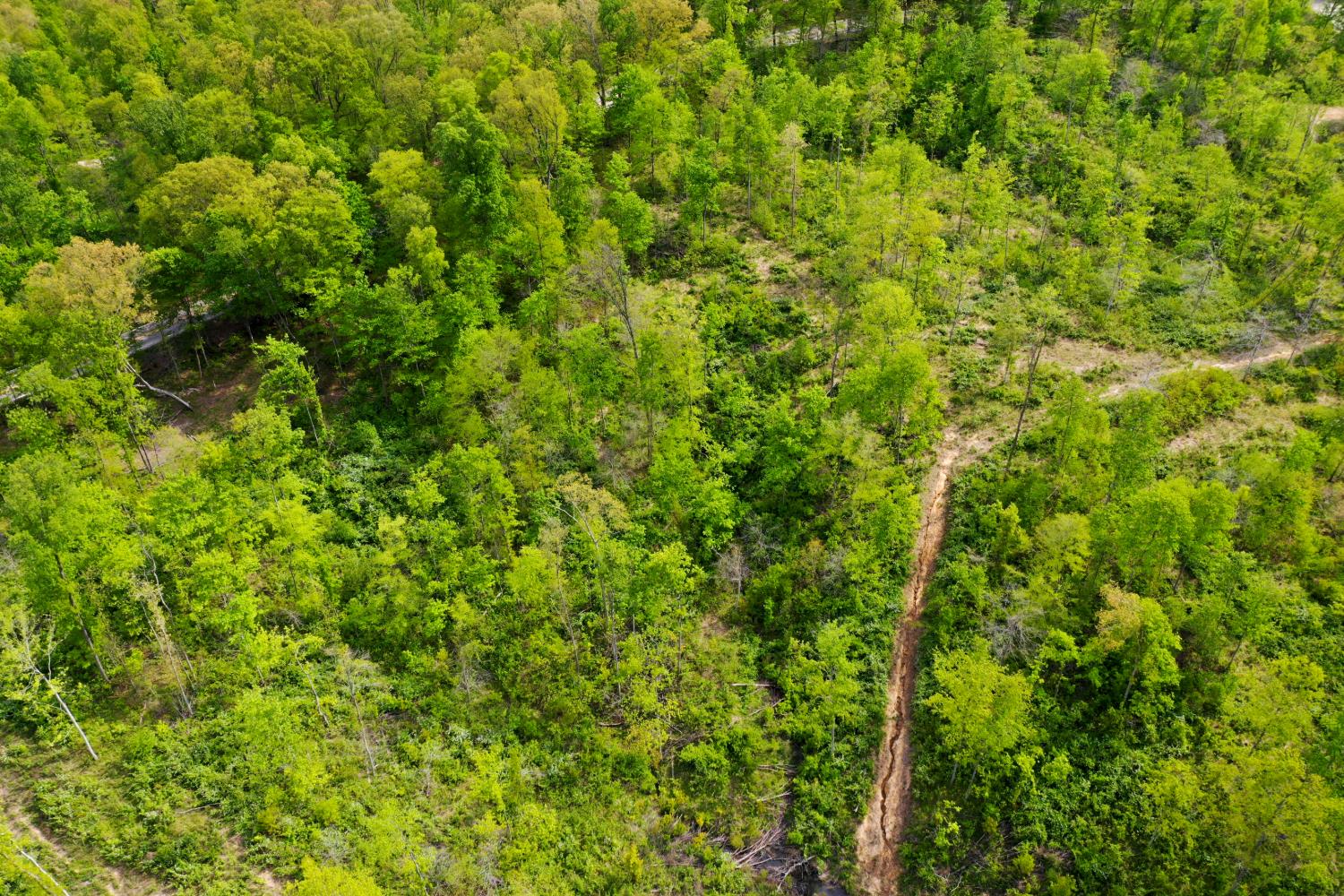 1 Highway 52 Gilbert, WV 25621 - Photo 6 of 25