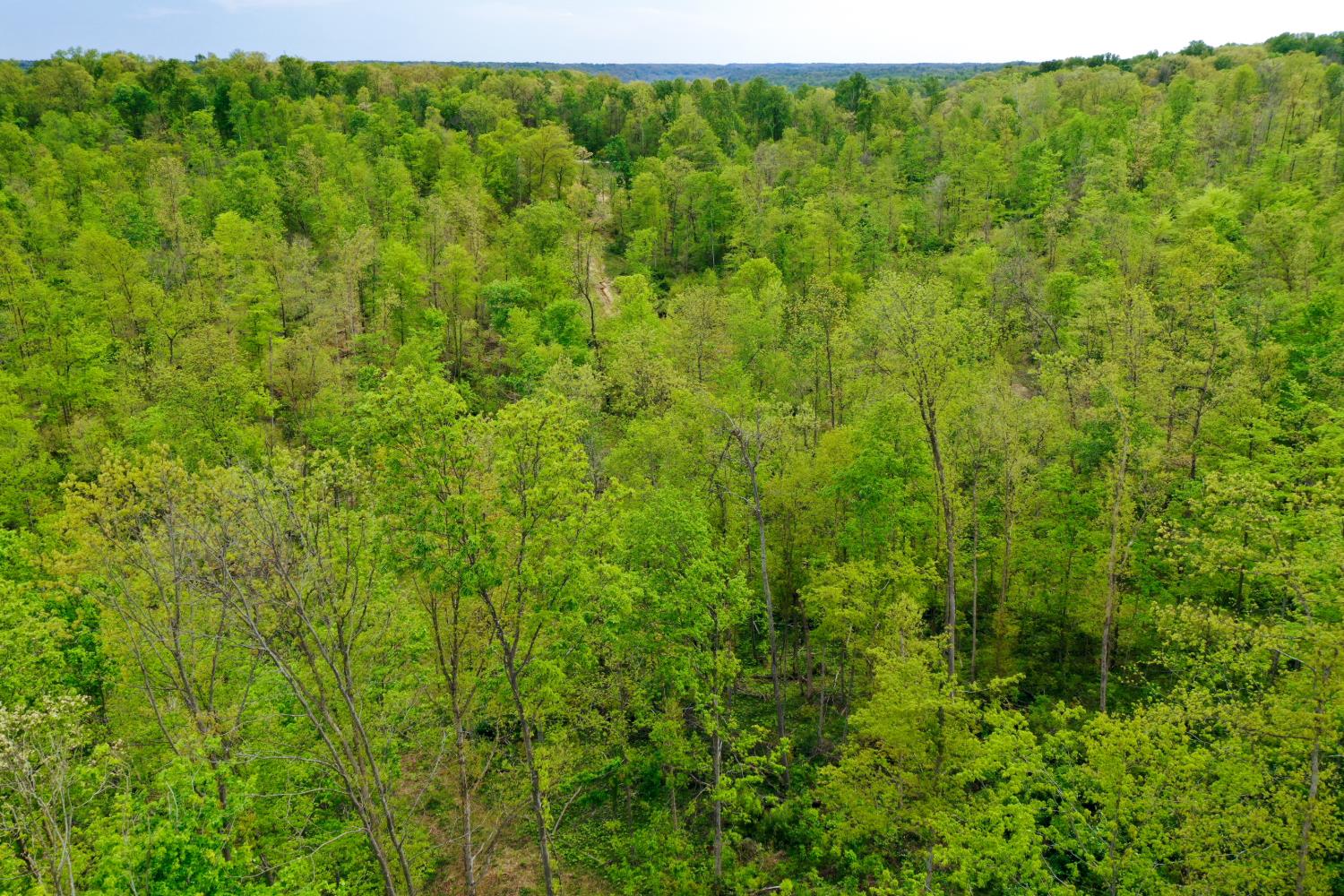 1 Highway 52 Gilbert, WV 25621 - Photo 7 of 25