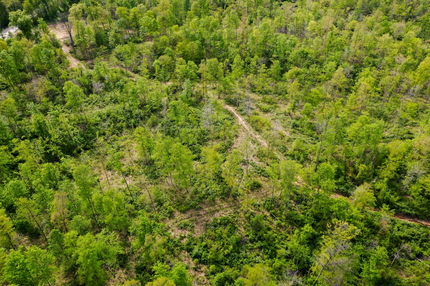 1 Highway 52 Gilbert, WV 25621 - Photo 8 of 25