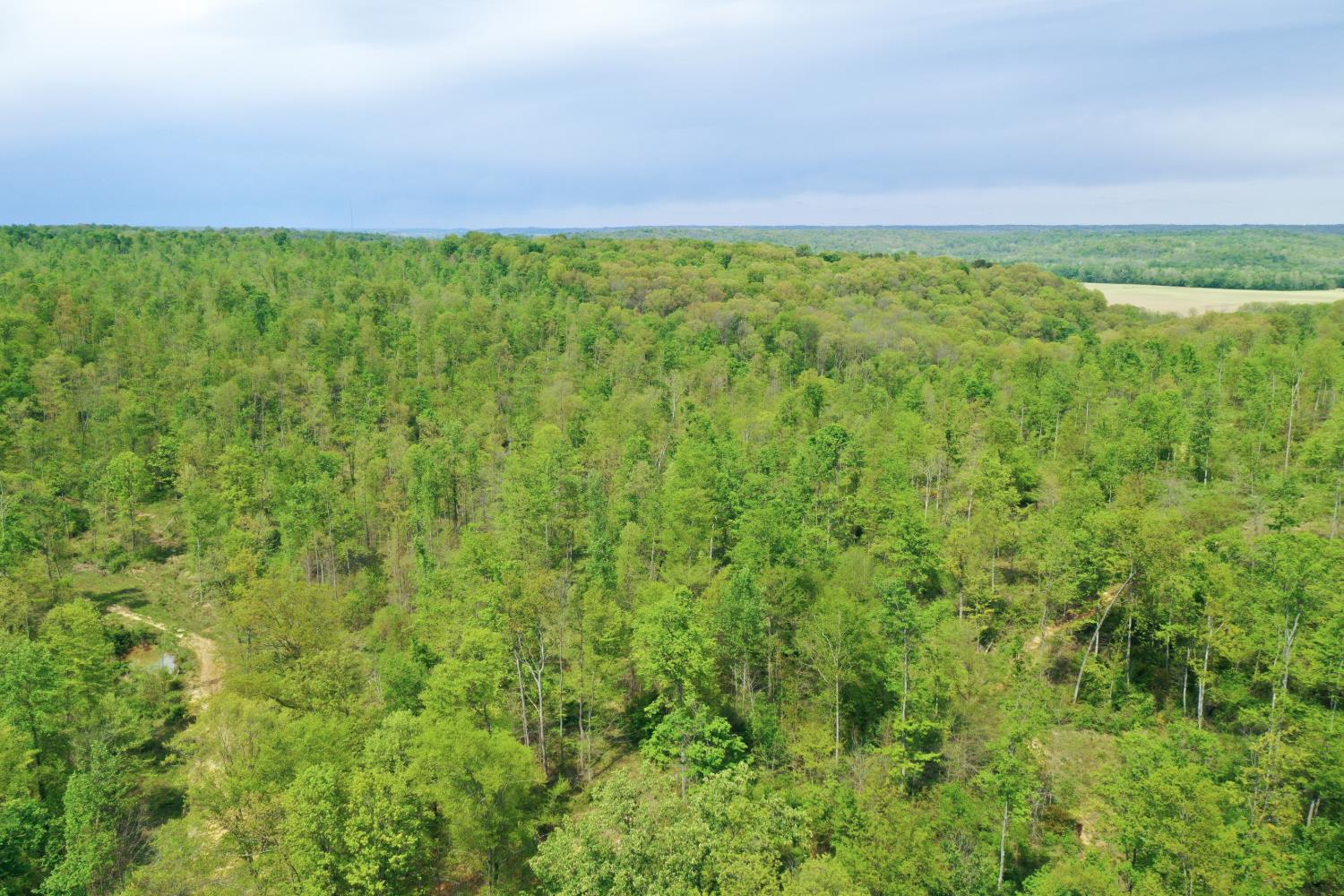 1 Highway 52 Gilbert, WV 25621 - Photo 9 of 25