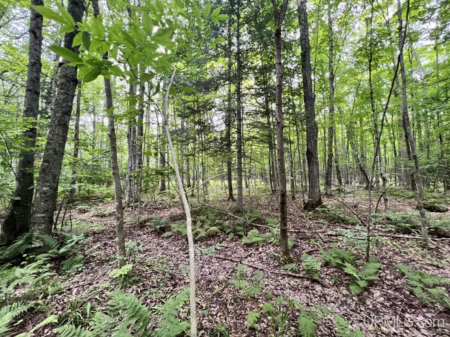 14244 Lindemann Road Baraga, MI 49908 - Photo 34 of 35 Gallery Image 34