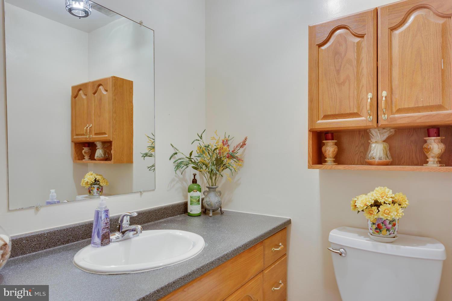 8914 Copperfield Court Springfield, VA 22151 - Photo 22 of 26 Bath