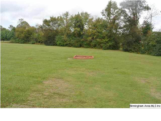 575 Blair Farm Road Odenville, AL 35120 - Photo 32 of 32