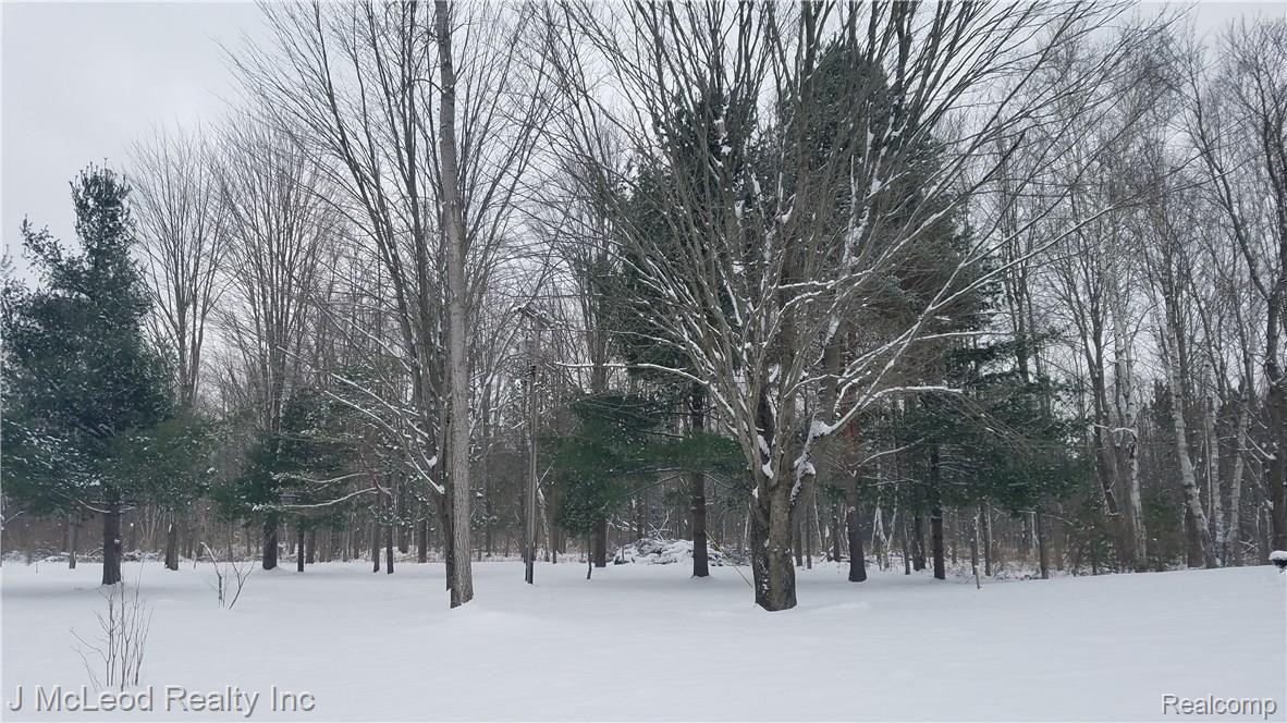 3685 Rowland Road Vassar, MI 48768 - Photo 47 of 57 20171215_140850.jpg