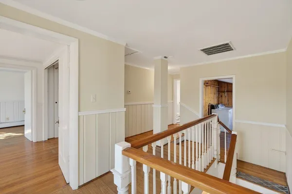 a view of a yard with plants and trees