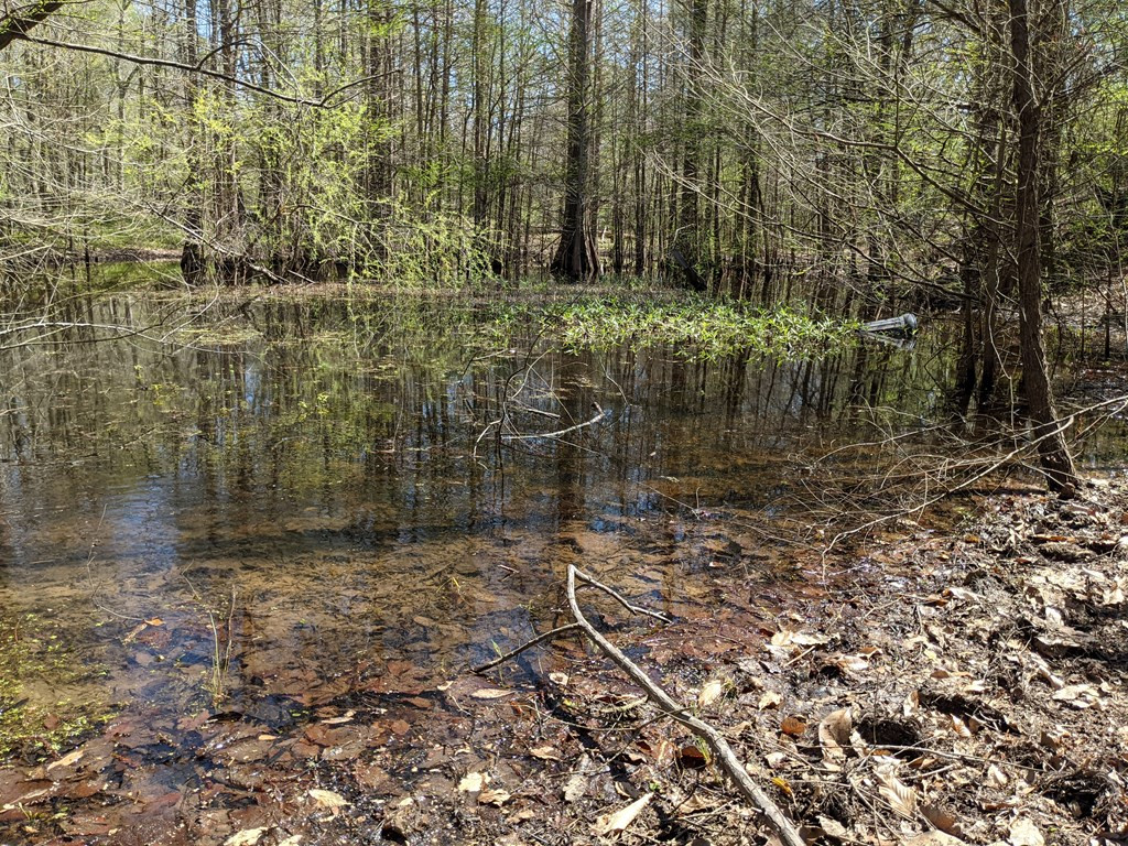 100 B New River Road Tylertown, MS 39667 - Photo 14 of 47 Photo 14