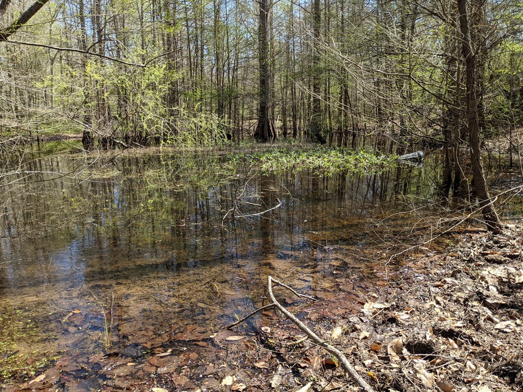 100 B New River Road Tylertown, MS 39667 - Photo 15 of 47 Photo 15