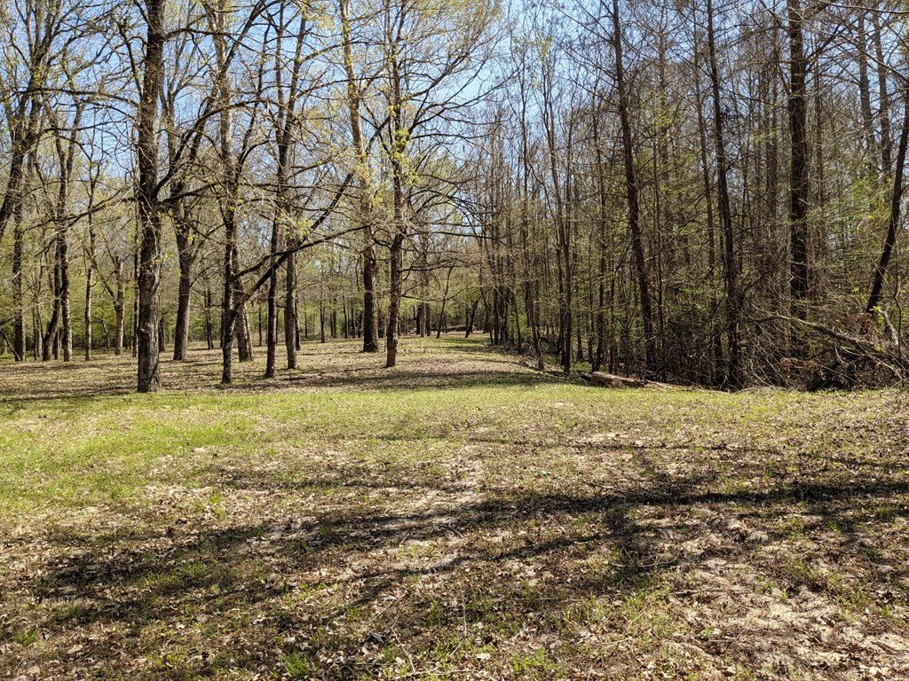 100 B New River Road Tylertown, MS 39667 - Photo 16 of 47 Photo 16