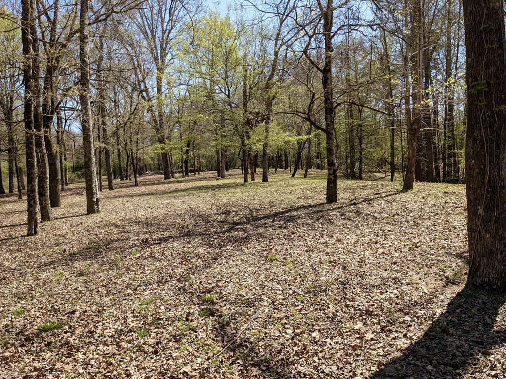 100 B New River Road Tylertown, MS 39667 - Photo 17 of 47 Photo 17