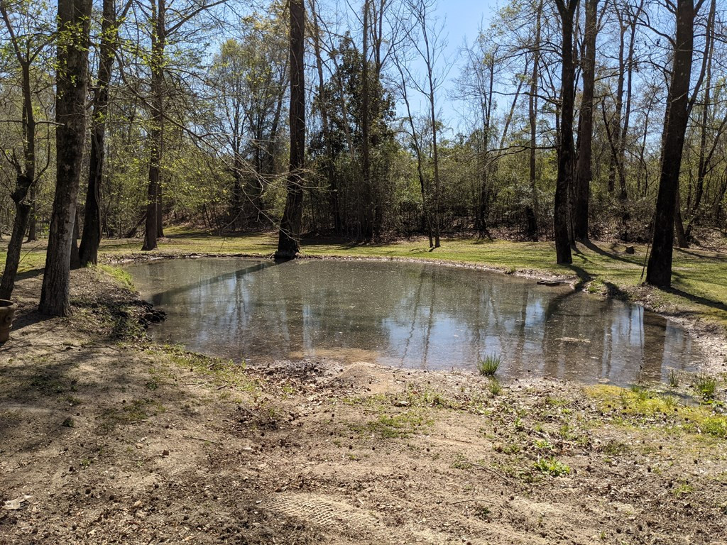 100 B New River Road Tylertown, MS 39667 - Photo 4 of 47 Photo 4