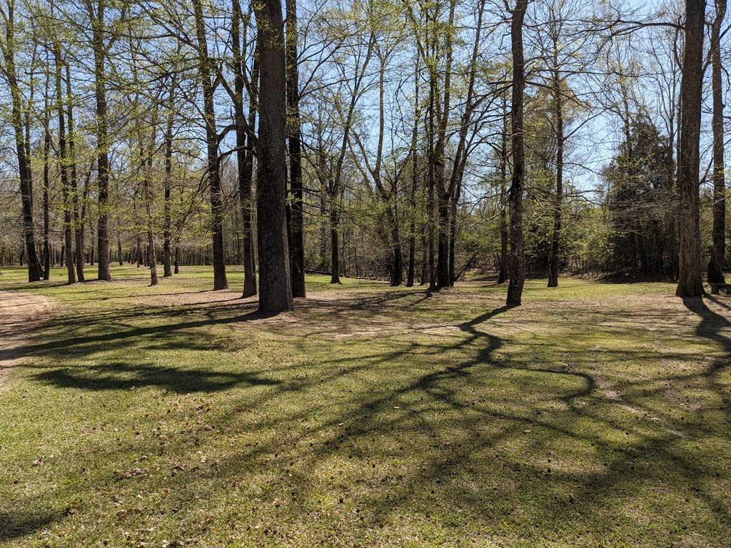 100 B New River Road Tylertown, MS 39667 - Photo 9 of 47 Photo 9