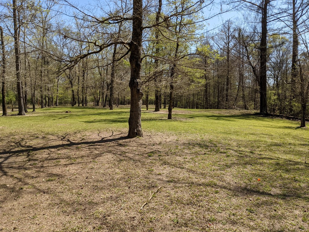 100 B New River Road Tylertown, MS 39667 - Photo 10 of 47 Photo 10